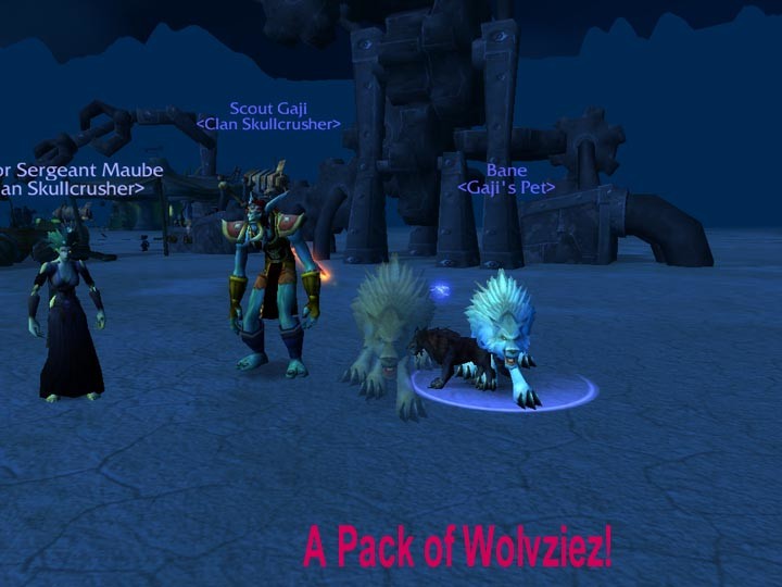 A pack of wolvziez.