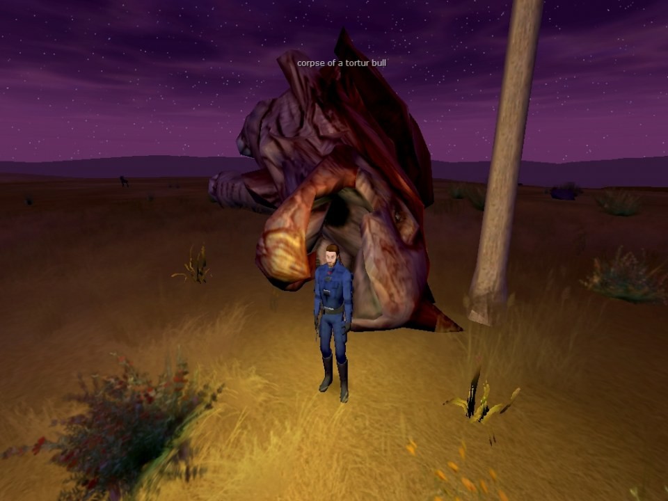 screenShot0697