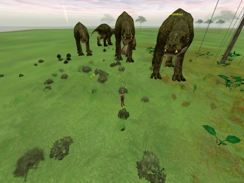 screenShot0056