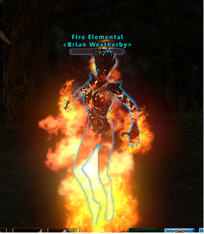 Fire Elemental Pet